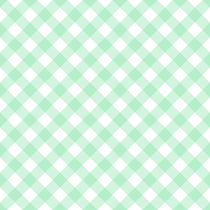 gingham mint